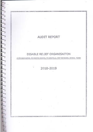 audit Report 2018-2019